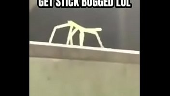 Get stick bugged